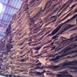 rubber5 rubber5