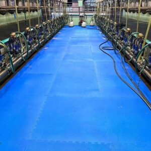 Milk Parlour EVA mat 1mx1mx 20mm, 30mm and 40mm - Red and Blue